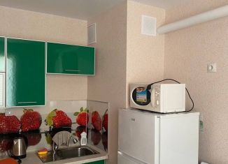 Аренда однокомнатной квартиры, 35 м2, деревня Куюки, улица 21-й Квартал, 13