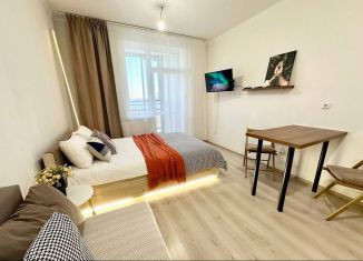Квартира в аренду студия, 33.9 м2, Екатеринбург, улица Чапаева, 79