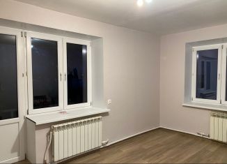 2-комнатная квартира на продажу, 41.3 м2, деревня Кисельня, Центральная улица, 9