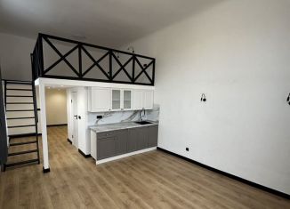 Продается квартира студия, 40 м2, Санкт-Петербург, Таврическая улица, 45, Центральный район