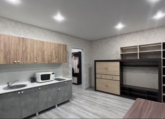 Сдам квартиру студию, 27 м2, Тюмень, улица Валентины Трофимовой, 8, ЖК Пятый квартал