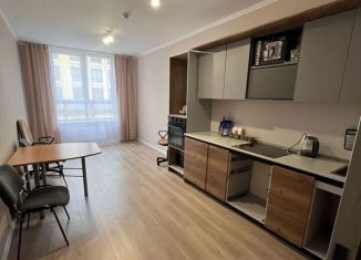 Сдам 2-ком. квартиру, 59.3 м2, посёлок Шушары, улица Нины Петровой, 10к1