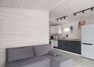 Сдам в аренду дом, 40 м2, поселок Мичуринское