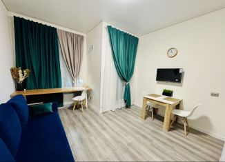 Сдается в аренду квартира студия, 25 м2, посёлок Шушары, Колпинское шоссе, 129