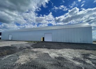 Сдается производство, 1500 м2, Ленинградская область, Красноборская дорога, 4к4