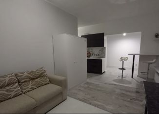 Продам 1-ком. квартиру, 34 м2, рабочий поселок Маркова, жилой комплекс Южный Парк, 5, ЖК Южный Парк