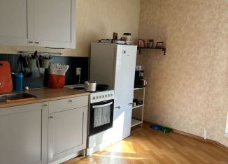 Продаю 1-ком. квартиру, 38.5 м2, посёлок Парголово, улица Фёдора Абрамова, 21к3