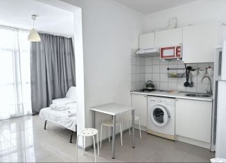 Сдаю в аренду квартиру студию, 25 м2, Сочи, Лазурная улица, 7А, микрорайон Чкаловский