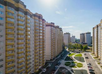 Продаю однокомнатную квартиру, 48.7 м2, Воронеж, улица Лётчика Филипова, 6, ЖК Спутник