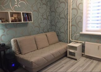 Сдается квартира студия, 25 м2, посёлок Парголово, Заречная улица, 41