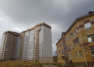 Продажа 2-комнатной квартиры, 71.3 м2, Воронеж, улица Лётчика Филипова, 6, ЖК Спутник