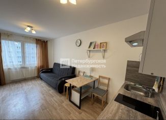 Продам квартиру студию, 21.7 м2, Санкт-Петербург, Муринская дорога, 25к3, Красногвардейский район