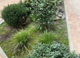 Сдается 1-ком. квартира, 40 м2, Сочи, улица Пархоменко, 19, ЖК Лас Сочис