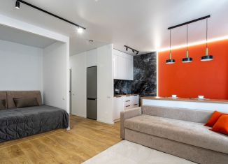 Однокомнатная квартира в аренду, 37 м2, Самара, Московское шоссе, 272, ЖК Дом у Самолёта