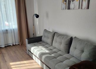 Сдаю в аренду 2-комнатную квартиру, 55 м2, Петергоф, Чебышёвская улица