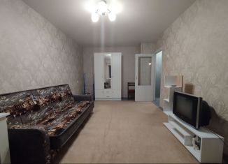 Сдается однокомнатная квартира, 32 м2, Сыктывкар, Коммунистическая улица, 65, Юго-Западный район