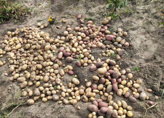 Продам участок, 5 сот., Брянск, Лесная улица