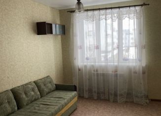 Однокомнатная квартира в аренду, 35.4 м2, сельский посёлок Новинки, Магистральная улица, 2