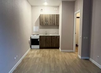 Сдача в аренду 1-комнатной квартиры, 40 м2, Пермь, улица Красных Командиров, 7, Индустриальный район