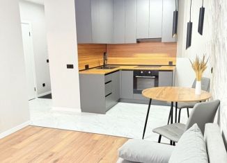 Сдается в аренду 1-ком. квартира, 37 м2, деревня Хотицы, Загородная улица, 3