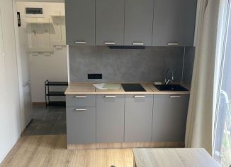 Сдается в аренду квартира студия, 20 м2, село Орёл-Изумруд, Банановая улица, 167/11