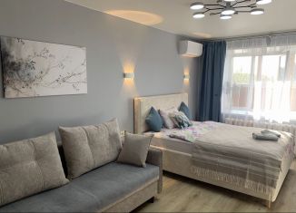 Сдача в аренду однокомнатной квартиры, 45 м2, Йошкар-Ола, улица Лебедева, 59, микрорайон Нагорный