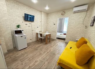 Сдается в аренду 1-комнатная квартира, 30 м2, Ульяновск, Новосондецкий бульвар, 19А