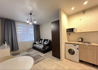 Сдается квартира студия, 22.3 м2, Санкт-Петербург, улица Маршала Тухачевского, 23, улица Маршала Тухачевского