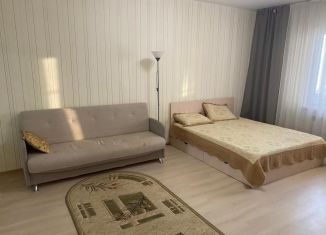 Сдается 1-ком. квартира, 47 м2, Тверь, улица Виноградова, 8