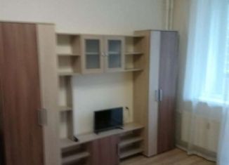 Сдается в аренду квартира студия, 24 м2, Мурино, Петровский бульвар, 14к1, ЖК Краски Лета