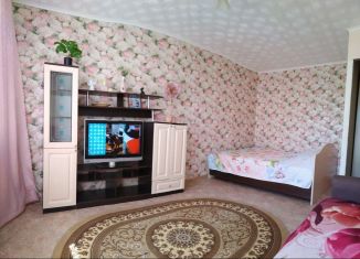 1-комнатная квартира в аренду, 29 м2, Новосибирск, улица Динамовцев, метро Площадь Маркса