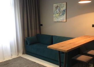 Сдам квартиру студию, 27 м2, Краснодар, Конгрессная улица, 27, микрорайон Достояние