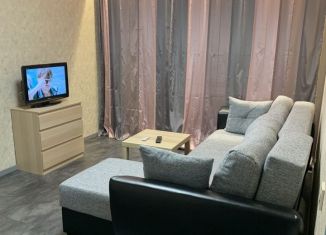 2-ком. квартира в аренду, 45 м2, Санкт-Петербург, улица Верности, 48, метро Академическая