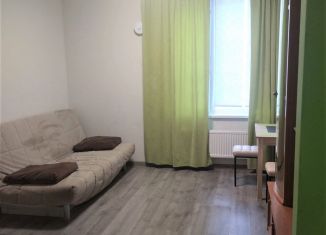 Сдается в аренду квартира студия, 24 м2, Санкт-Петербург, Витебский проспект, 101к1, метро Купчино