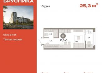 Продажа квартиры студии, 25.3 м2, Екатеринбург, метро Уральская