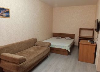 Сдам однокомнатную квартиру, 45 м2, Новосибирск, Новосибирская улица, 27
