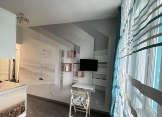 Сдача в аренду квартиры студии, 22 м2, Мытищи, улица Академика Каргина, ЖК Отрадный