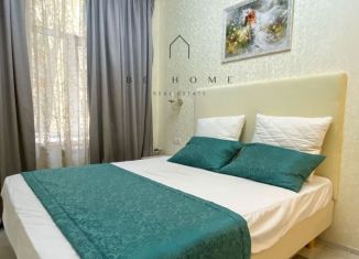 Аренда квартиры студии, 25 м2, Санкт-Петербург, улица Рубинштейна, 11, метро Достоевская