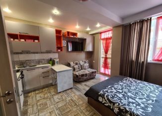 Сдается квартира студия, 25 м2, посёлок городского типа Сириус, улица Станиславского, 1А