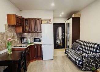 Продам квартиру студию, 21 м2, рабочий посёлок Лопатино, Сухановская улица, 25, ЖК Государев Дом