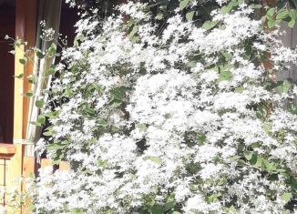 Продаю дачу, 56 м2, Саратов, Волжский район