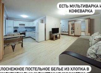 2-комнатная квартира в аренду, 45 м2, Красноярск, улица Урицкого, 39, Центральный район