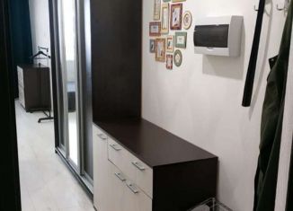 Сдаю в аренду квартиру студию, 24.5 м2, Мурино, улица Шувалова, 22к1, ЖК Витамин