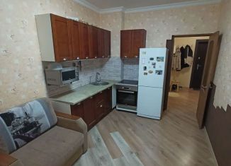 1-ком. квартира на продажу, 43 м2, Краснодар, улица имени 40-летия Победы, ЖК Возрождение