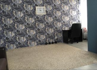 Сдаю однокомнатную квартиру, 46 м2, деревня Куюки, 4-й квартал, 4