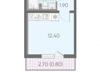 Продается квартира студия, 18.7 м2, Санкт-Петербург, метро Гражданский проспект, Васнецовский проспект, 18