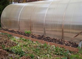 Продажа дачи, 24 м2, СНТ Вега-1