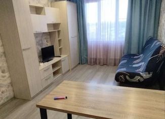 Аренда квартиры студии, 25 м2, Киров, Заводская улица, 4, Первомайский район