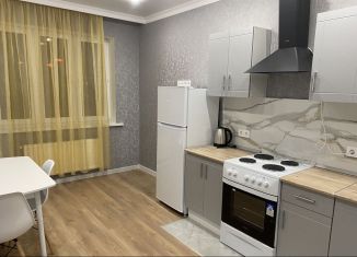 1-комнатная квартира в аренду, 34 м2, Краснодарский край, улица Петра Метальникова, 40