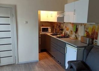 Сдаю дом, 25 м2, посёлок Даниловка, Тенистая улица, 28